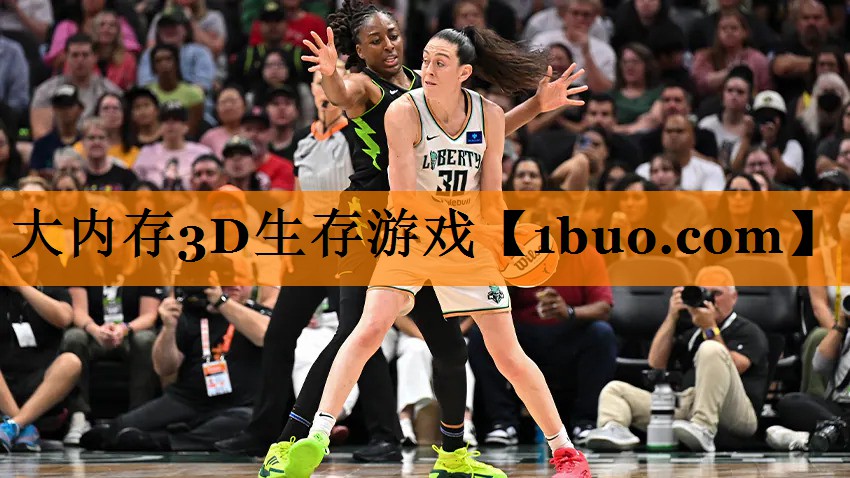 大内存3D生存游戏