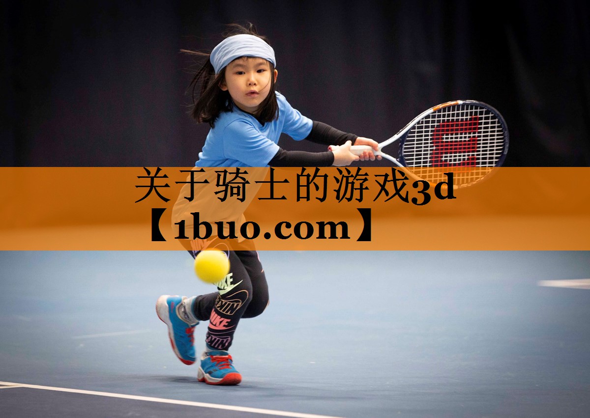 关于骑士的游戏3d