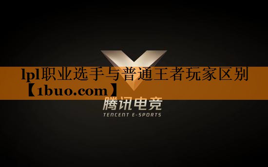 lpl职业选手与普通王者玩家区别