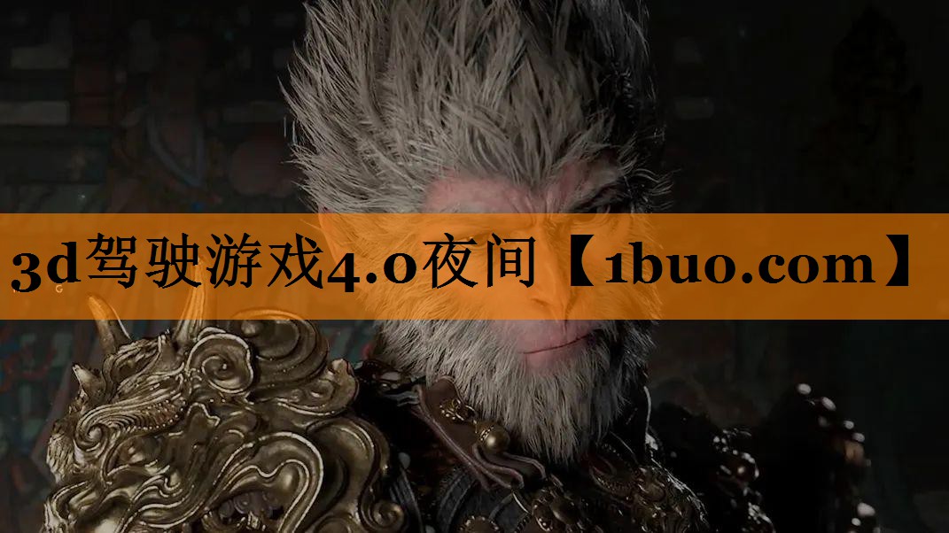 3d驾驶游戏4.0夜间