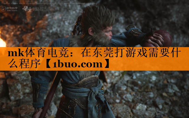 mk体育电竞：在东莞打游戏需要什么程序