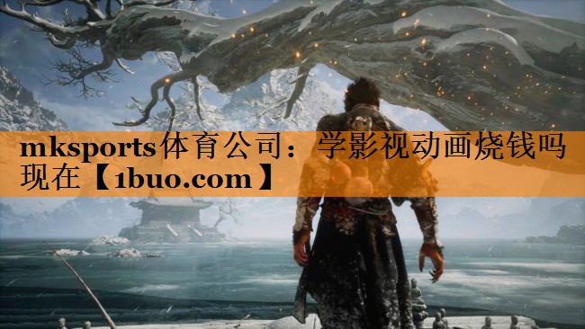 mksports体育公司：学影视动画烧钱吗现在