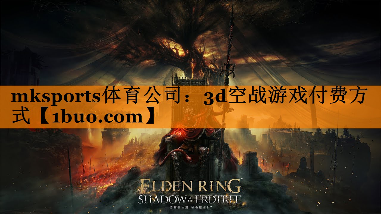 mksports体育公司：3d空战游戏付费方式