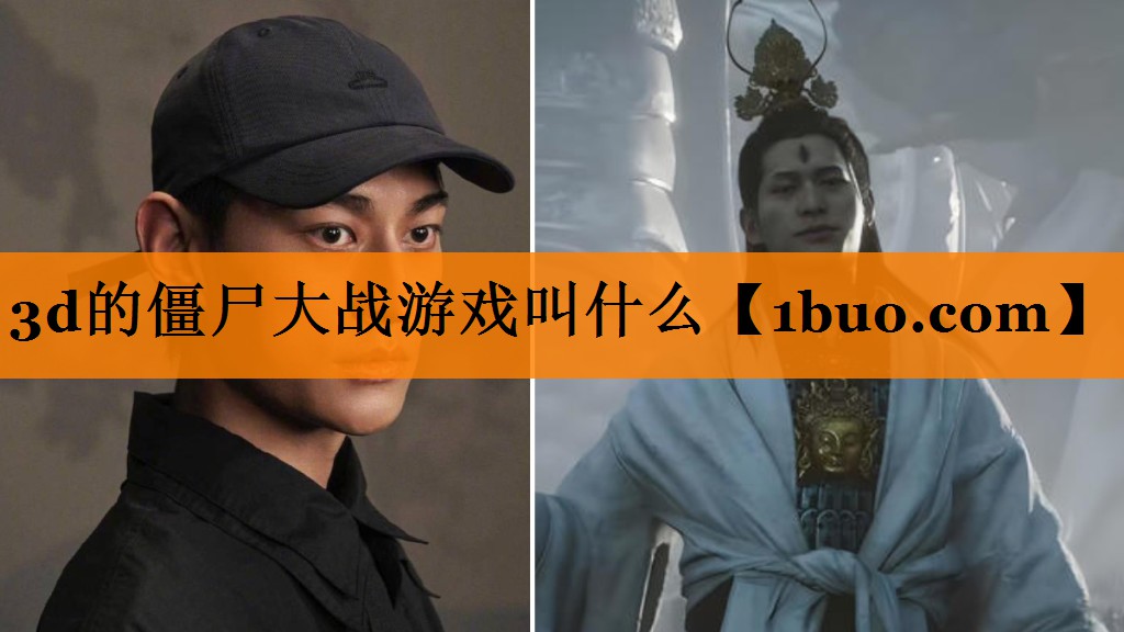 3d的僵尸大战游戏叫什么