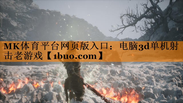 电脑3d单机射击老游戏
