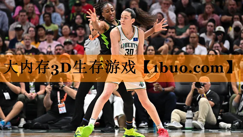 大内存3D生存游戏
