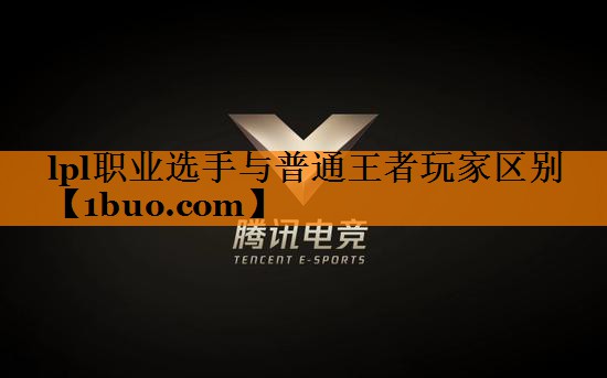 lpl职业选手与普通王者玩家区别
