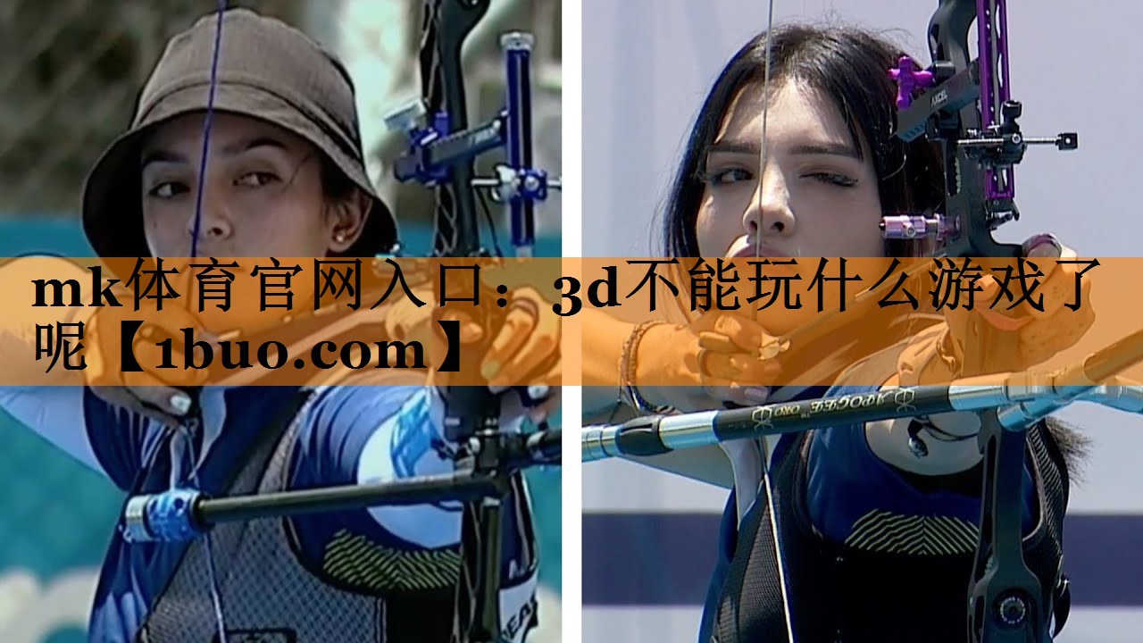 3d不能玩什么游戏了呢