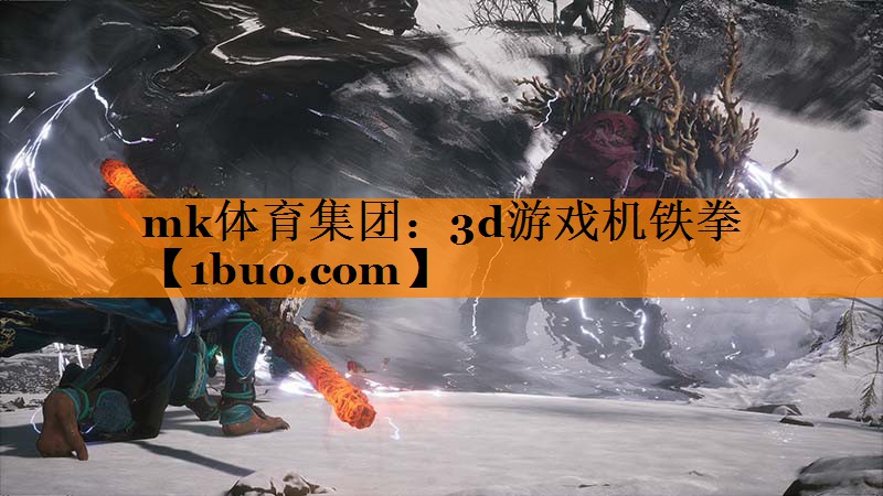 3d游戏机铁拳