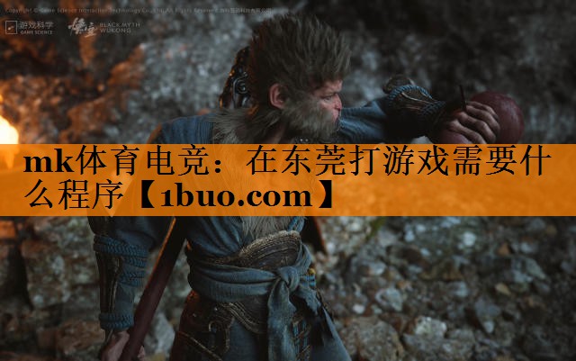 在东莞打游戏需要什么程序