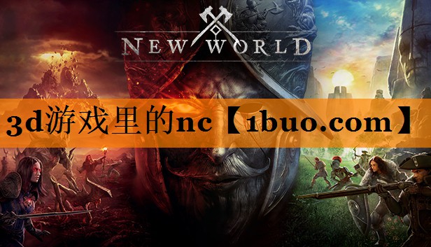 3d游戏里的nc