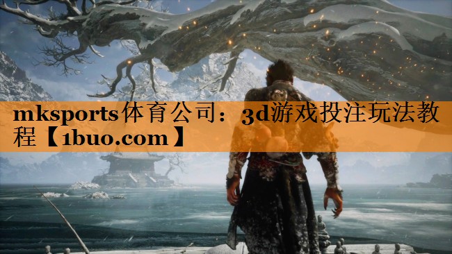 3d游戏投注玩法教程